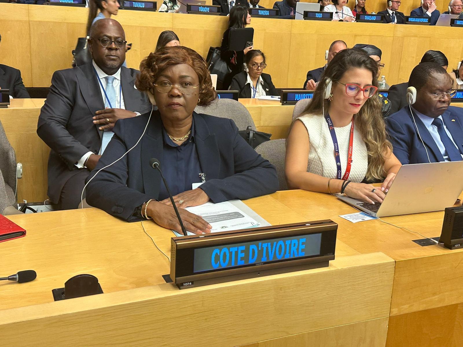 80e Session de l’Assemblée générale de l’ONU :